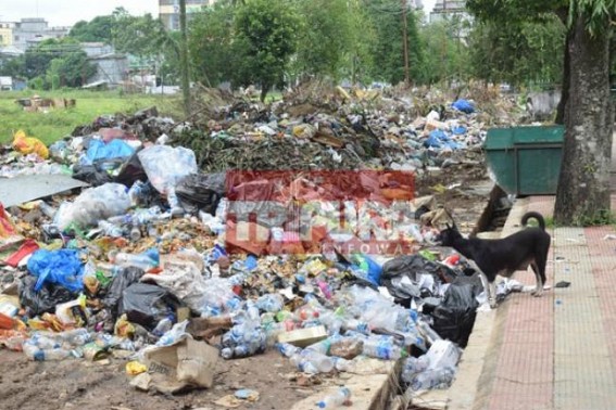 AMCâ€™s illegal dumping station polluting Capital City